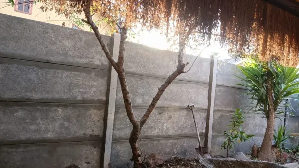Cerco de Cemento